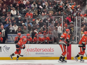 Players from the Anaheim Ducks ice hockey team in action on the rink during a game, with a crowd of spectators in the background and an "Easterseals disability services" advertisement visible on the rink's boards.